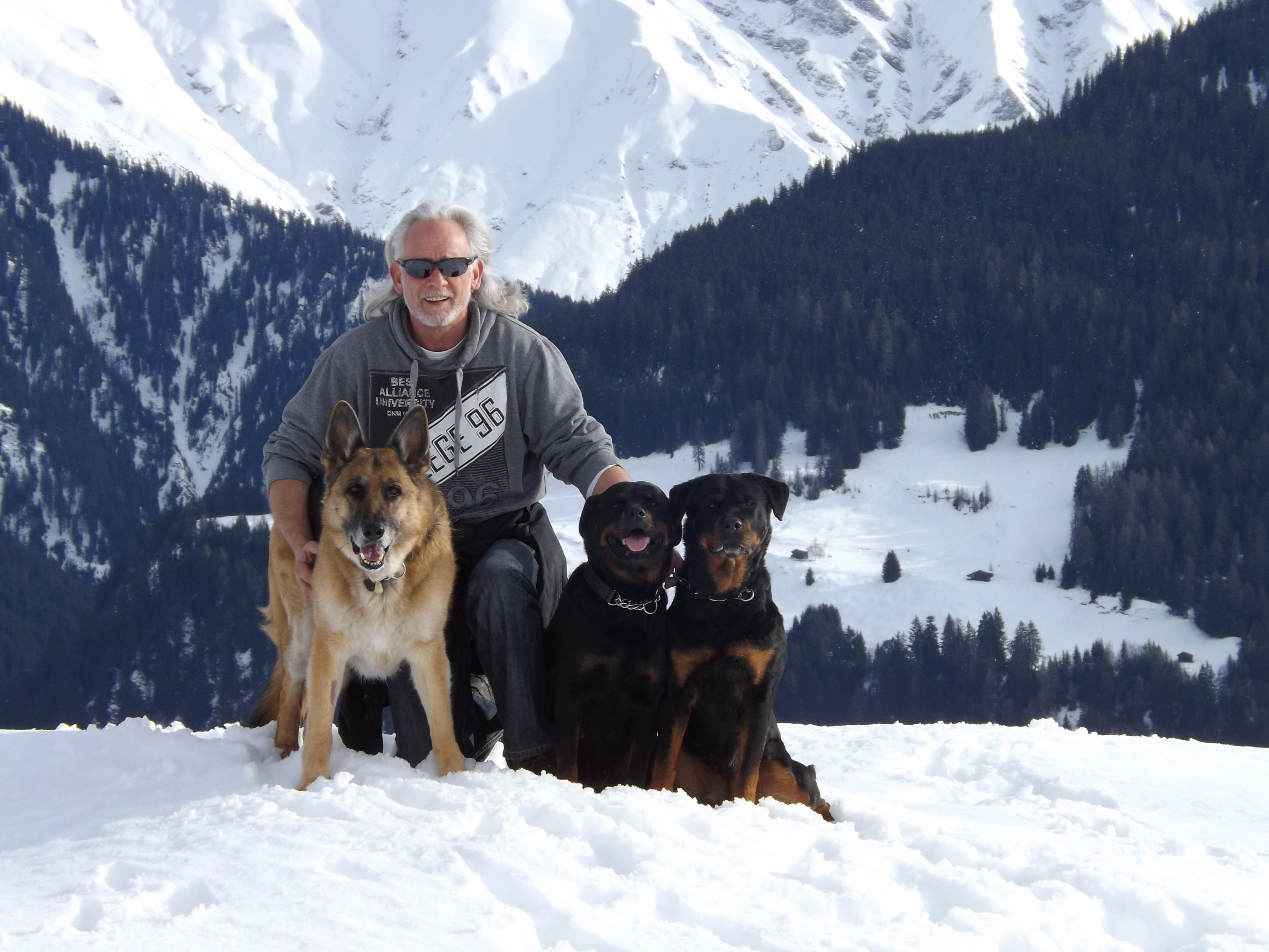 Harry Meister, Idée-Chien